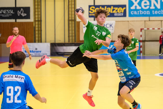 Handball Mödling - Rhein-Neckar-Löwen – Bild 2