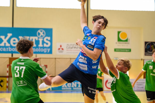 Handball Mödling - Rhein-Neckar-Löwen – Bild 12
